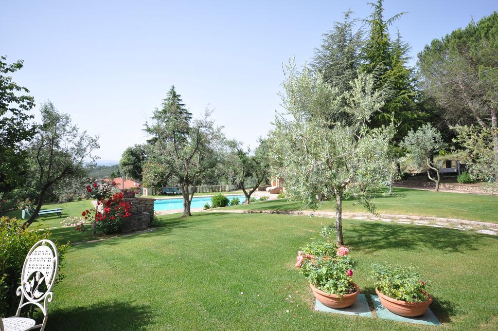 Villa Caterina Monte San Savino Exteriér fotografie